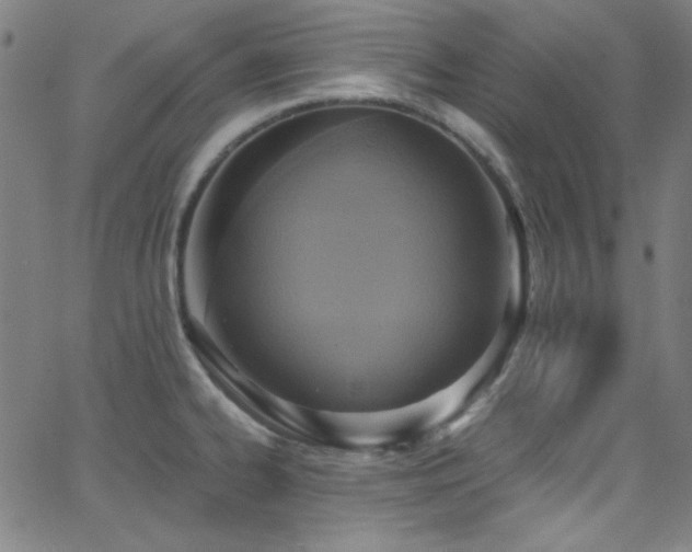 X0000068731334200604281129