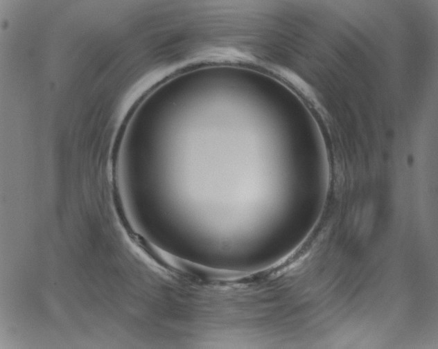 X0000068731335200604281129
