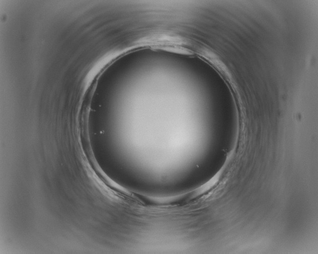 X0000068731344200604281129