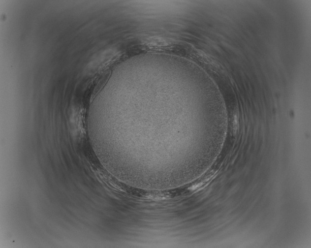X0000068731346200604281128