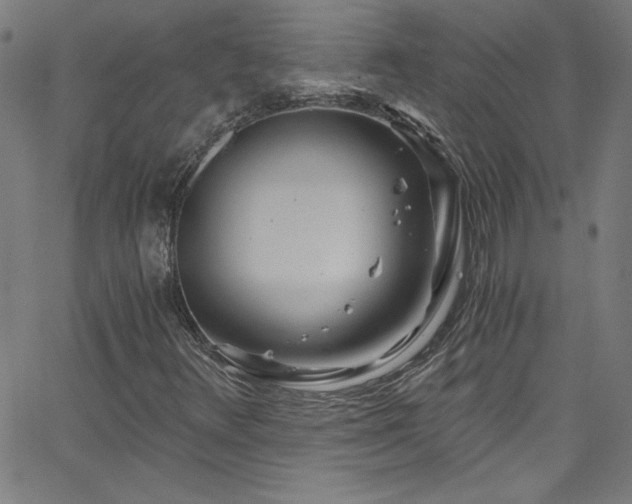 X0000068731348200604281128