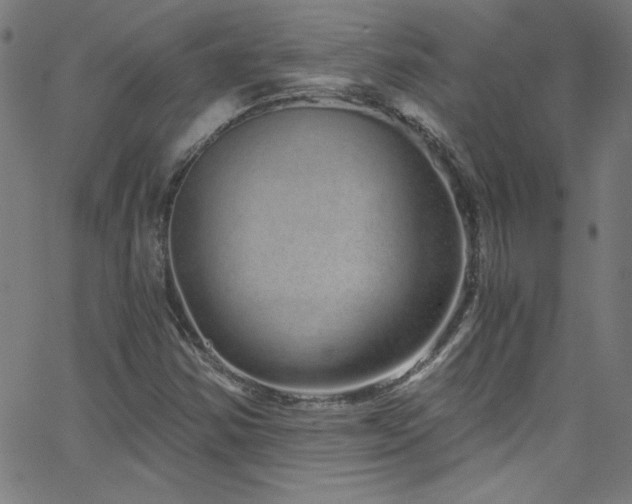 X0000068731354200604281128