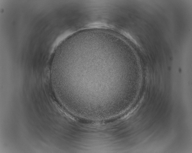 X0000068731358200604281128