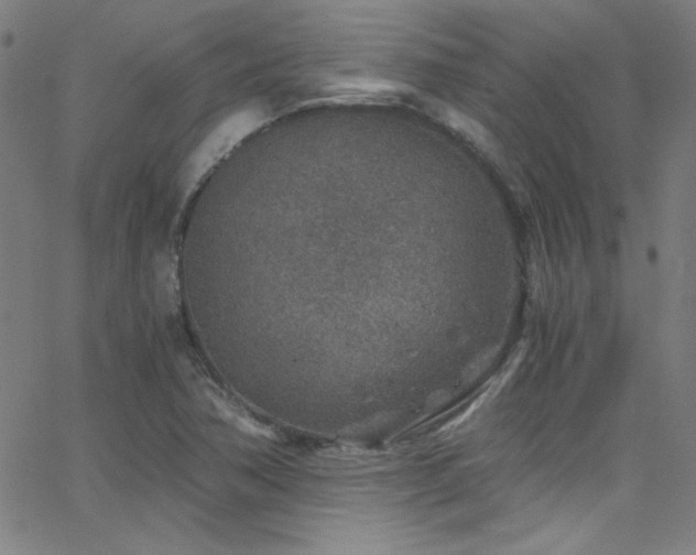 X0000068731362200604281128