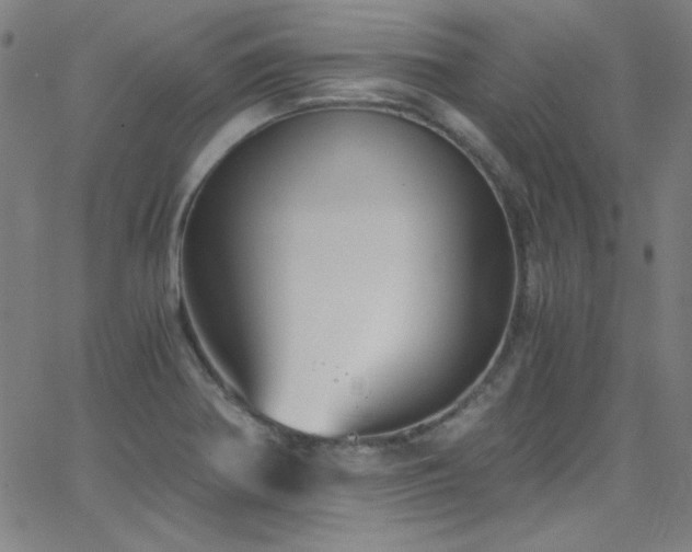 X0000068731370200604281128