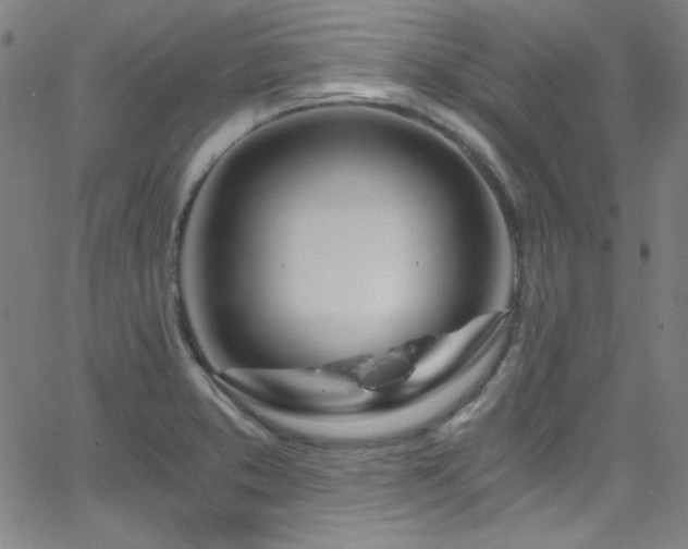 X0000068731373200604281128