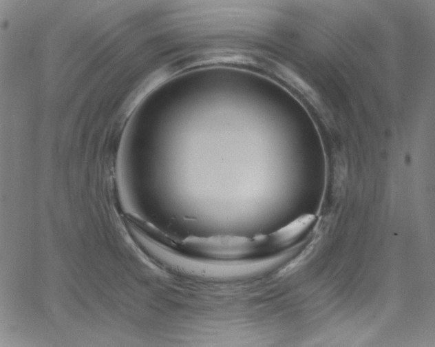 X0000068731377200604281128