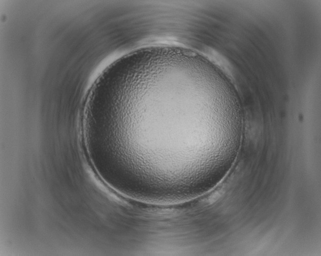 X0000068731382200604281128