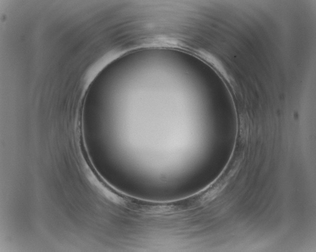 X0000068731387200604281128