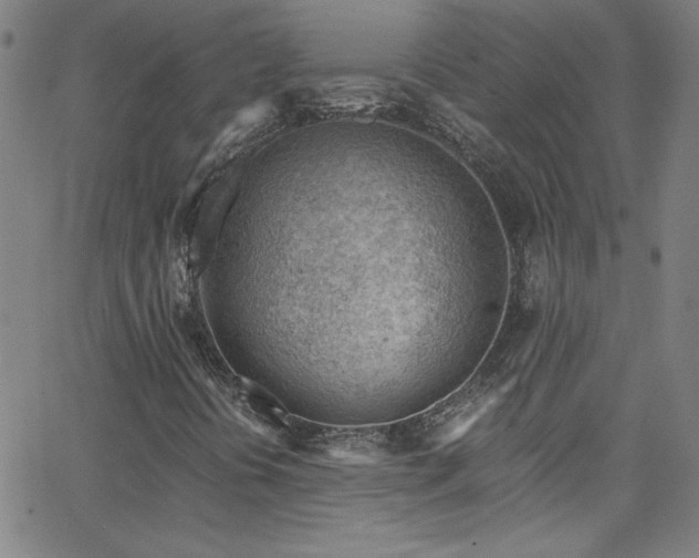 X0000068731394200604281127