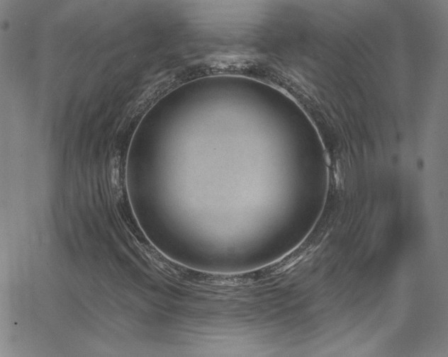 X0000068731396200604281127