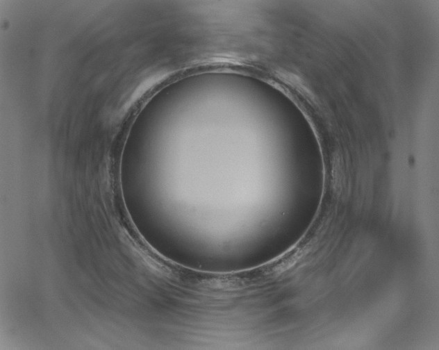 X0000068731404200604281127