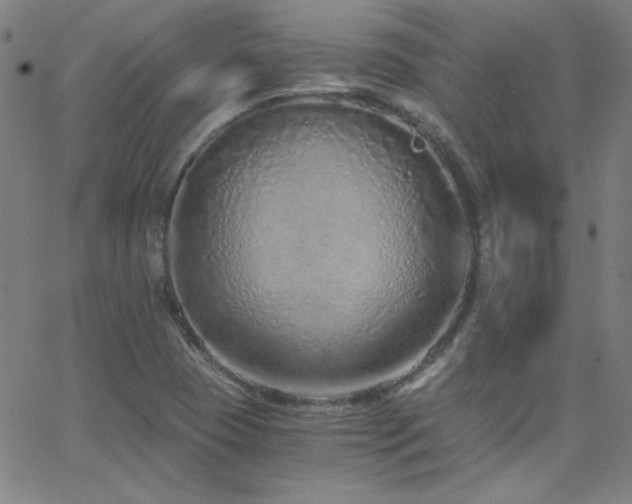 X0000068731409200604281127