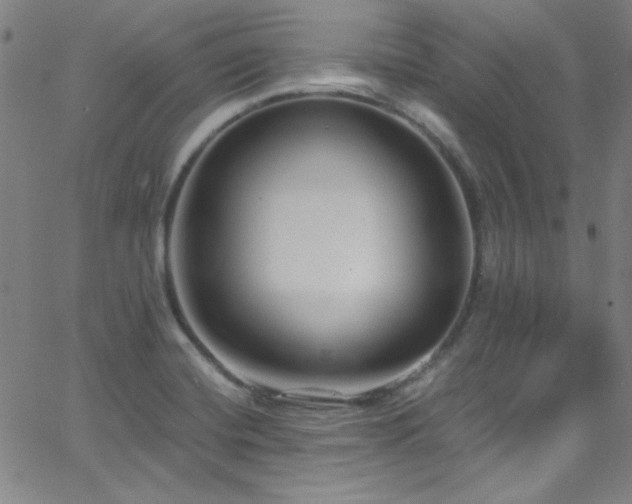 X0000068731420200604281127