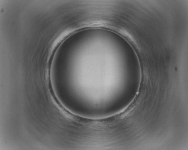 X0000068731424200604281127