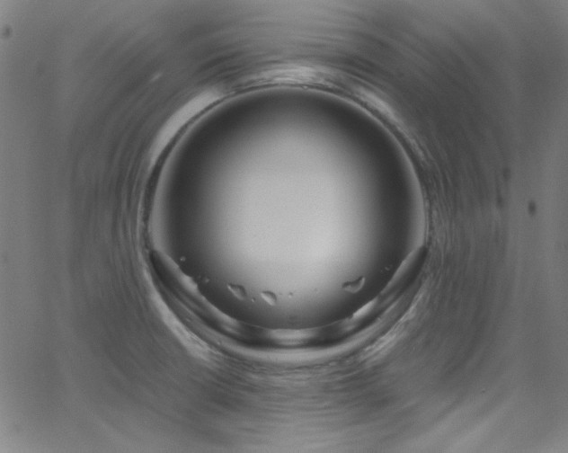 X0000068731426200604281127