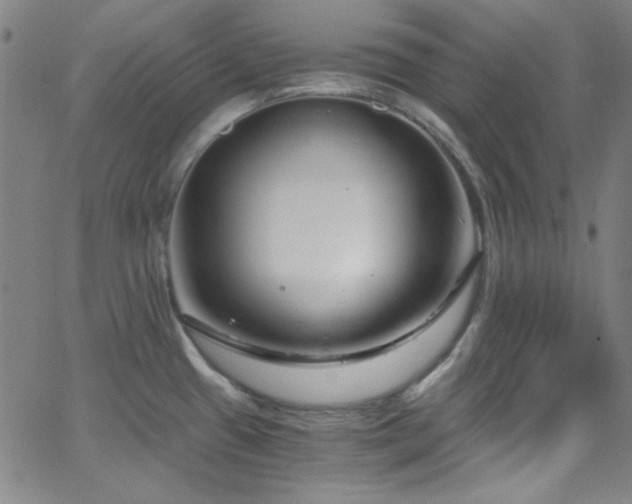 X0000068731433200604281127