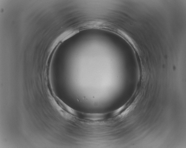 X0000068731434200604281127