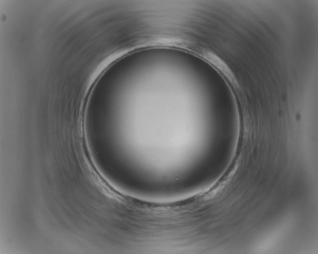 X0000068731436200604281127
