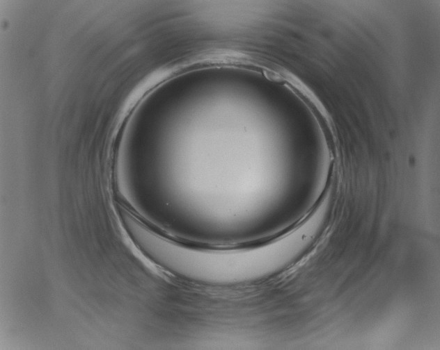 X0000068731437200604281127