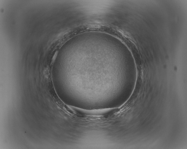 X0000068731445200604281127