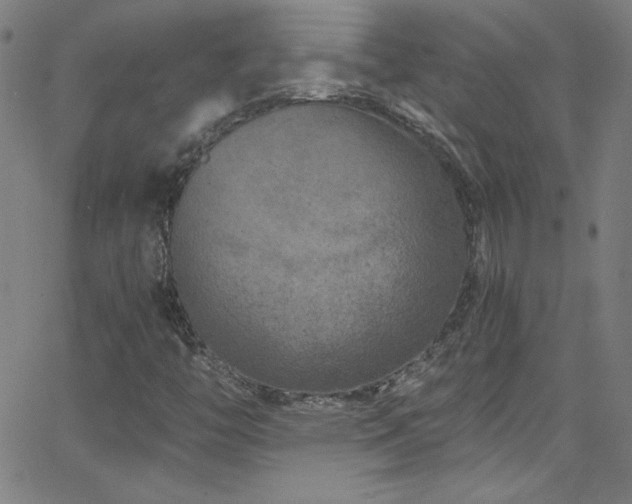 X0000068731446200604281127