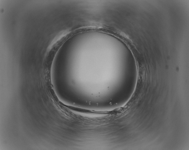 X0000068731448200604281127