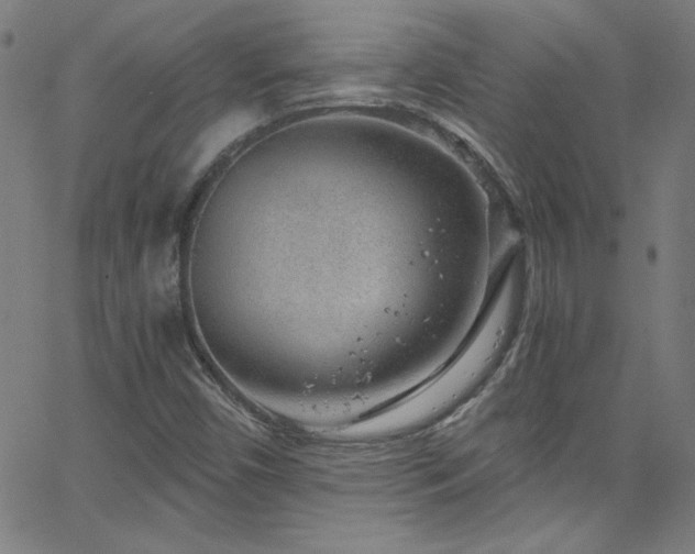 X0000068731450200604281127