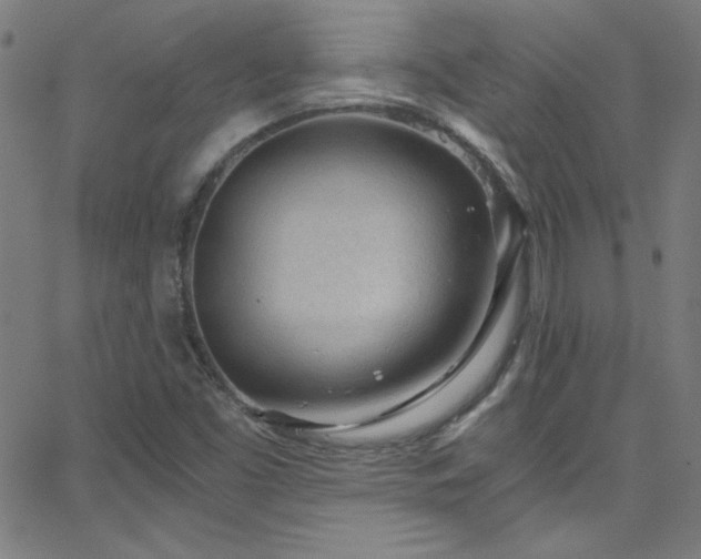 X0000068731453200604281127