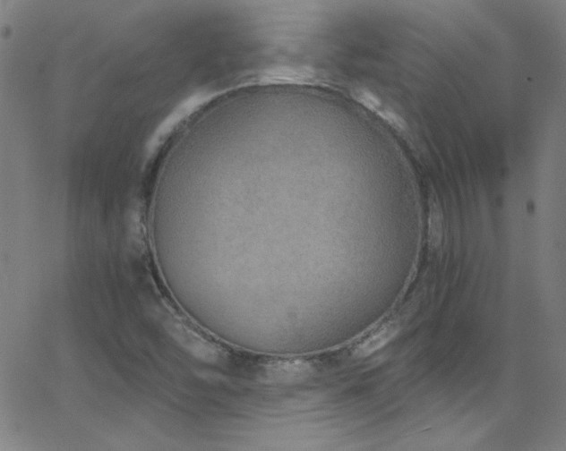 X0000068731454200604281126