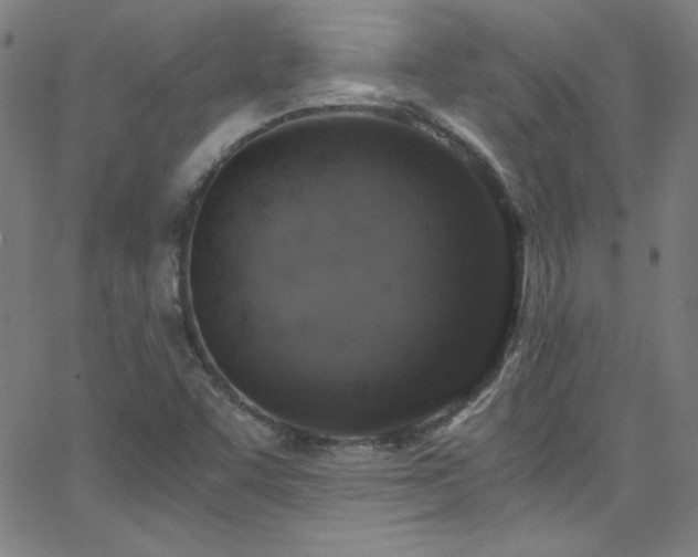 X0000068731455200604281126