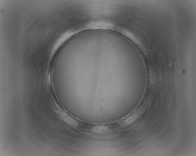 X0000068731462200604281126