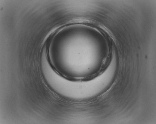 X0000068731465200604281126