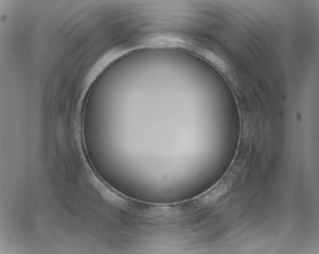 X0000068731478200604281126