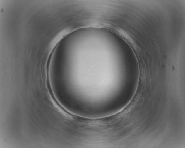 X0000068731479200604281126