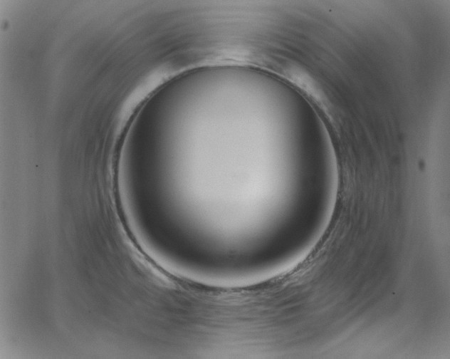 X0000068731480200604281126