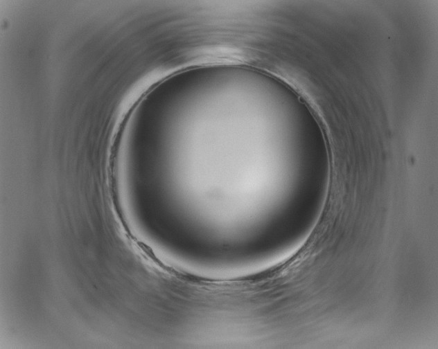 X0000068731488200604281126