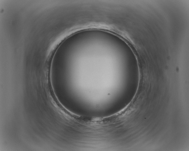 X0000068731504200604281125