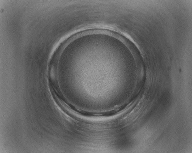 X0000068731508200604281125