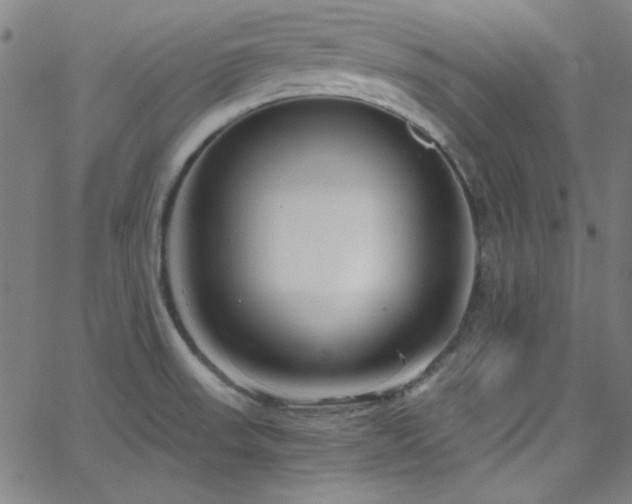 X0000068731523200604281126