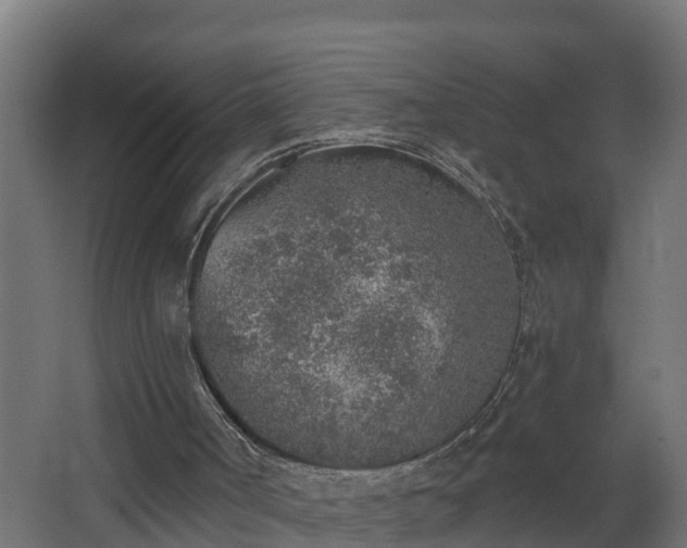 X0000068730002200605011011