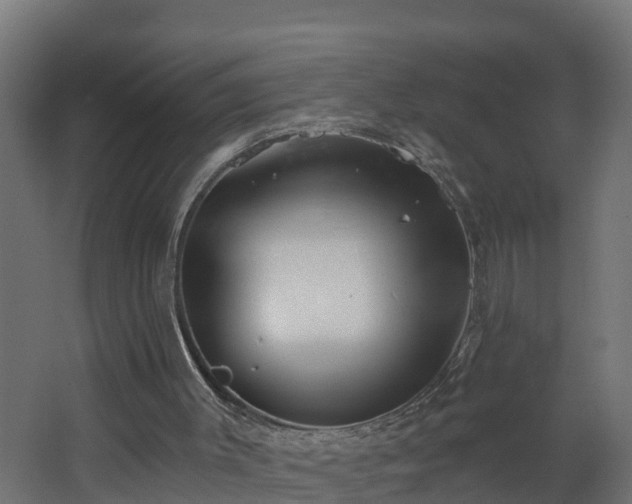 X0000068730003200605011011