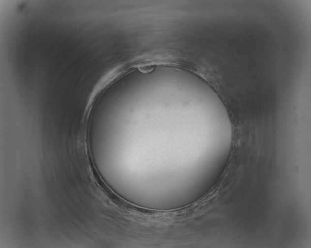 X0000068730004200605011011