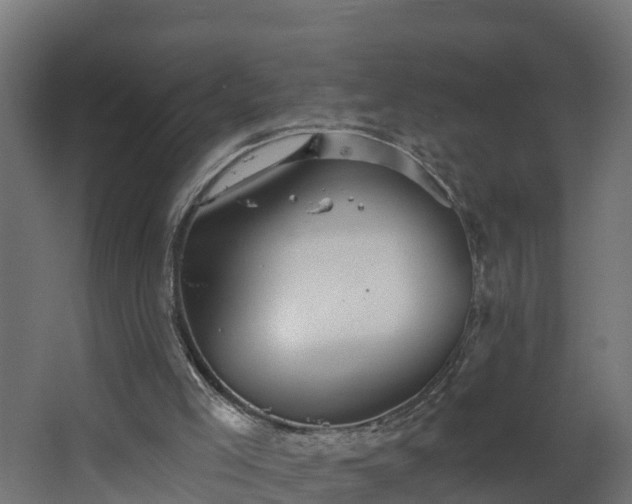 X0000068730005200605011011