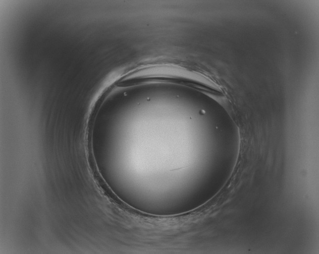 X0000068730006200605011011