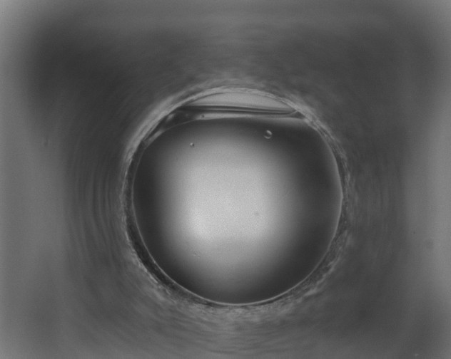 X0000068730007200605011011