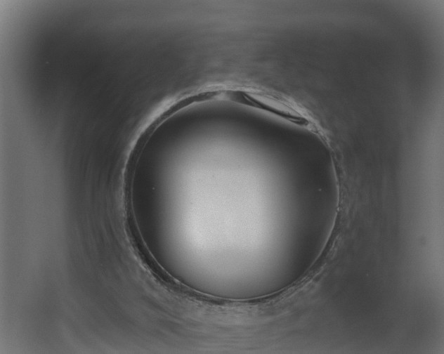 X0000068730008200605011011