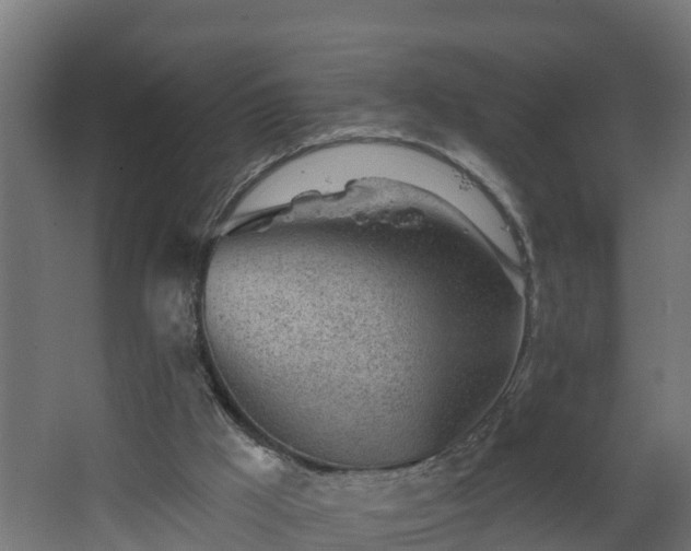 X0000068730009200605011011