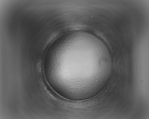 X0000068730010200605011011