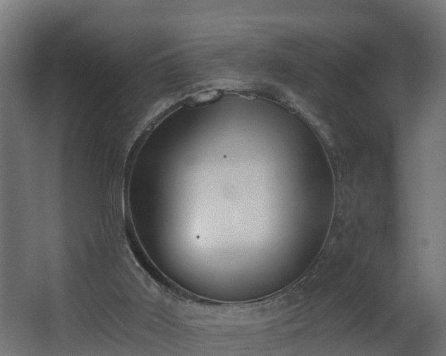 X0000068730011200605011011